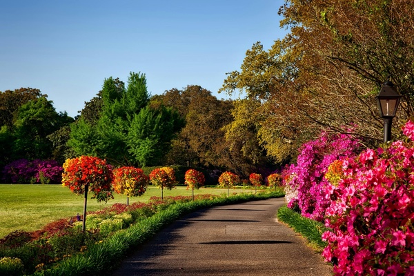 Como diseñar un jardín en función de su tamaño