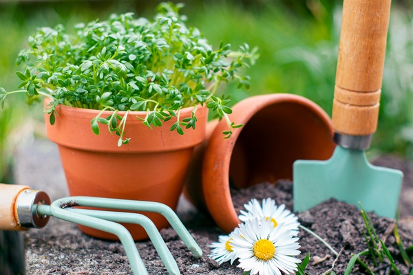 El Mantenimiento de Jardines en Verano