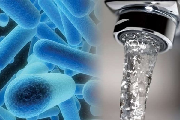 Todo sobre la Legionella