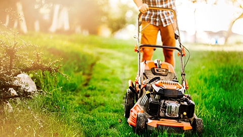 Jardineros en Sant Joan Despí: Profesionales de la Jardinería a tu Servicio